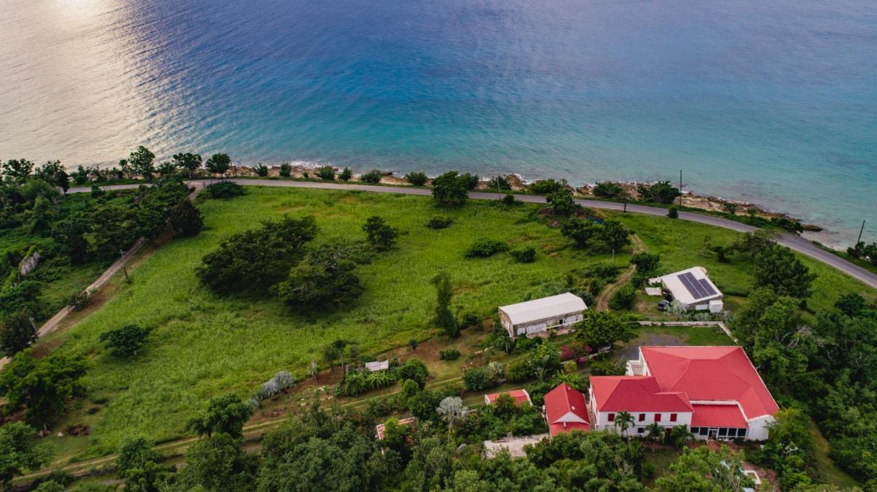 Feather Leaf Inn Frederiksted Exterior foto